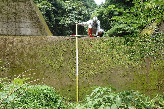 P6200059