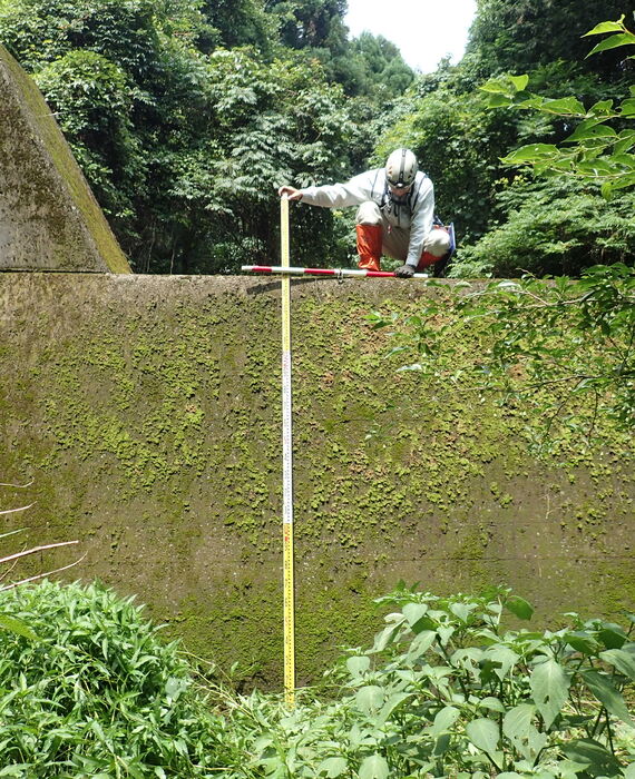 P6200059