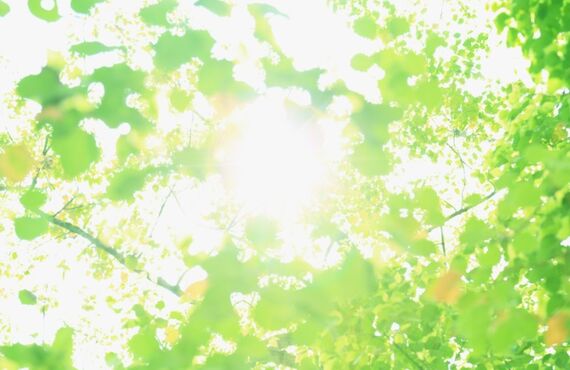 西日本で地中レーダーを使った空洞化調査をお考えなら株式会社Zo企画まで