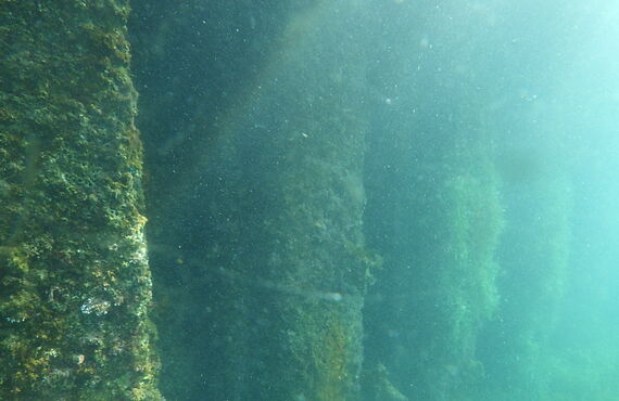 全国の漁港・港湾施設の潜水調査を実施しています！！